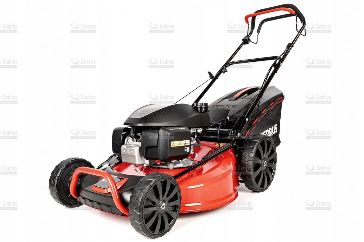 Diesel mower Cedrus with engine Honda GCV200 55,5 cm 3in1 basket 65 l
