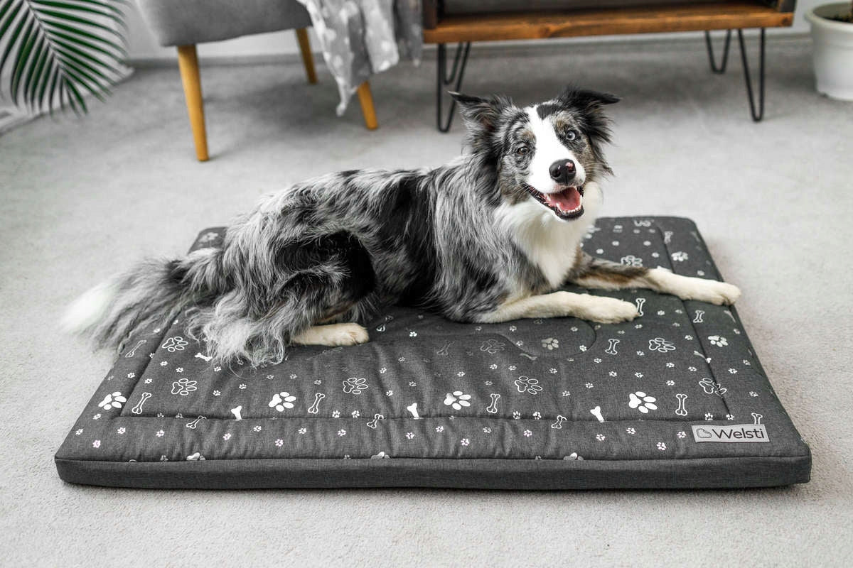 Dog Bed Mattress Waterproof 100x70 Welsti Bedding Pillow Mat Packaging status original