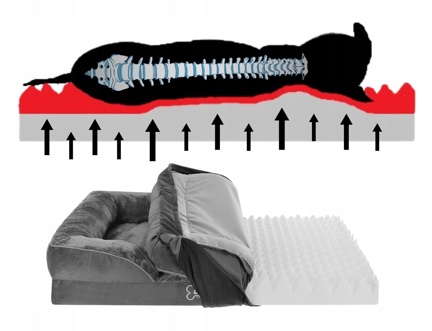 Dog Bed Orthopedic Large XL 100x75 Zipper Cover, Sofa EAN (GTIN) 5906852728725