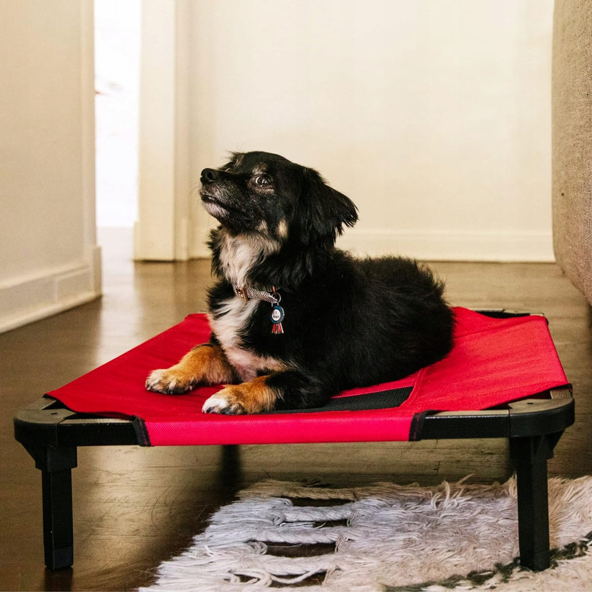 Dog Bed Red BED 73x51x19cm Brand Lucky Dog