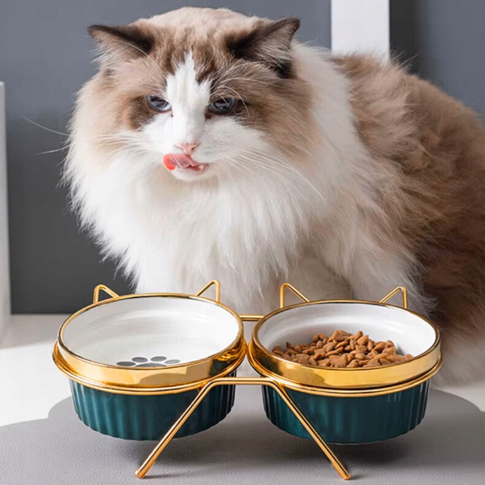 Dog Cat Bowl Double Ceramic Set of 2 Bowls Stand 600ml Packaging status original