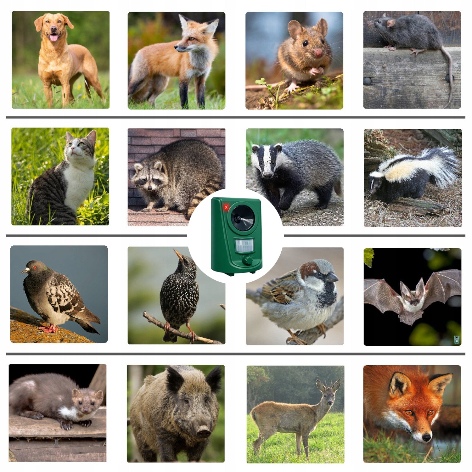 Dog Cat Repellent BIRDS WILD BIRD CAT DOGS Battery Operated POWERFUL 10in1 Use Against cats martens mice dogs birds rats wild animals other