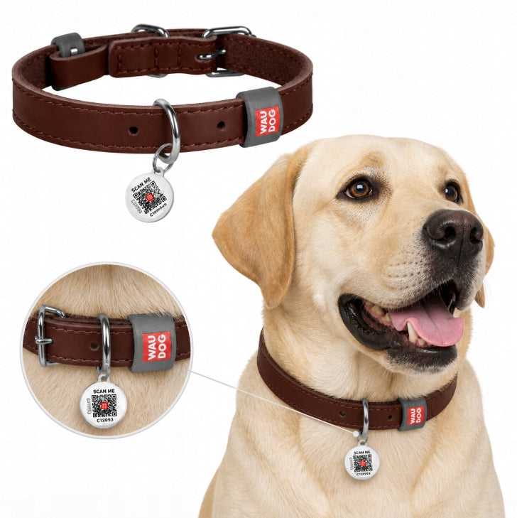 Dog Collar Leather Adjustable for Medium to Large Breeds Size L