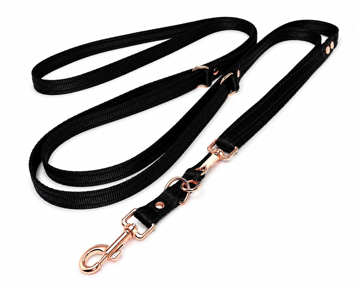 Dog Leash Adjustable Retractable Pink Gold Pink Rose 3-2,4-2,2-1,6m