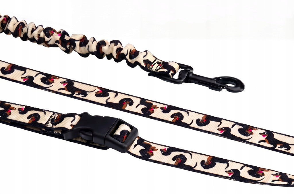 Dog Leash Sports Walking with Shock Absorber 350cm | 4Funky | Doxie
