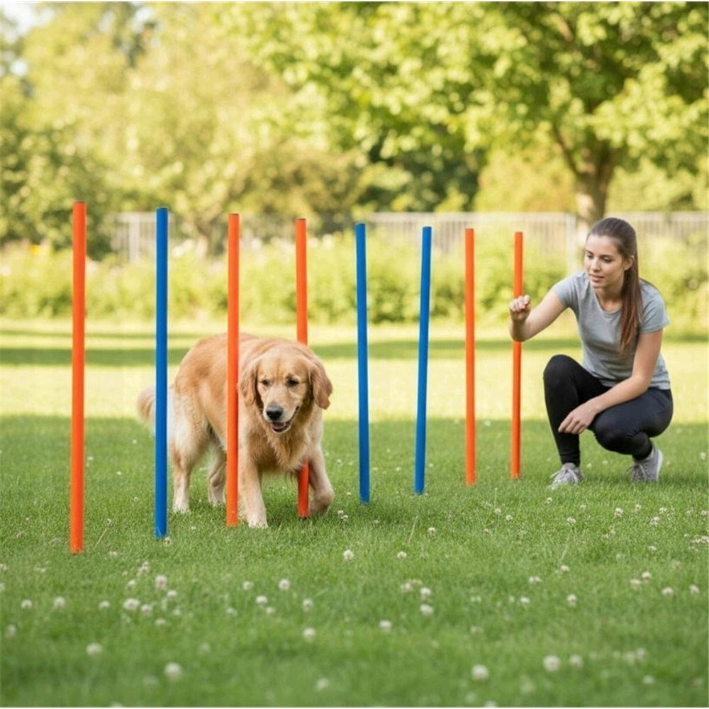 Dog Obstacle Course Training Set Agility Tunnel Skill Slalom Packaging status original