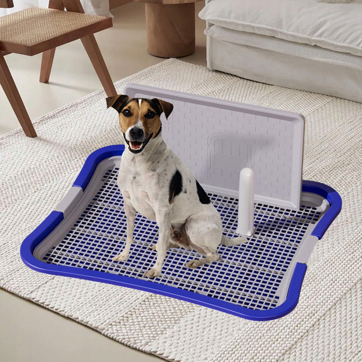 Dog Toilet with High Walls Keeping Paws Dry Dog Cuvette Brand no brand