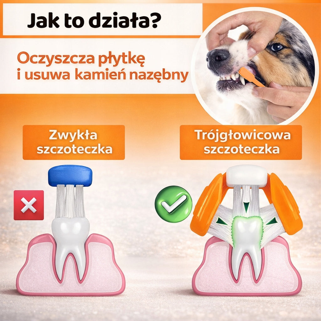 Dog Toothbrush| Set of 3in1 | Natural Paste x2 + Overlays Manufacturer code DG16