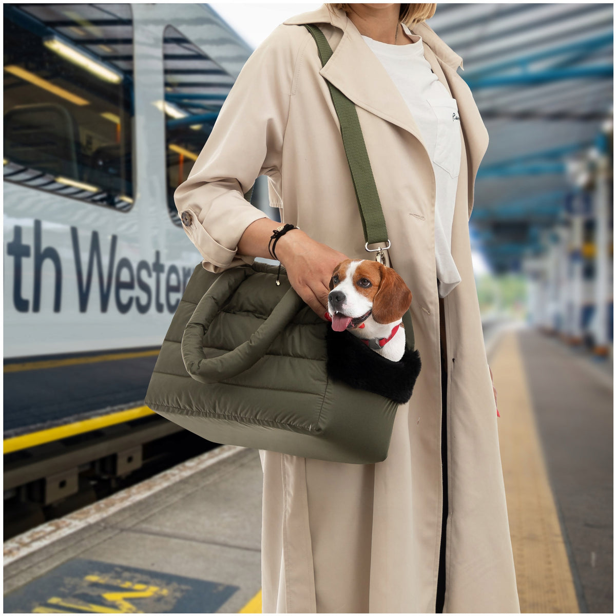 Dog Transporter Cat Bag Large Carrier Rabbit Carrier 40x20x30 Packaging status original