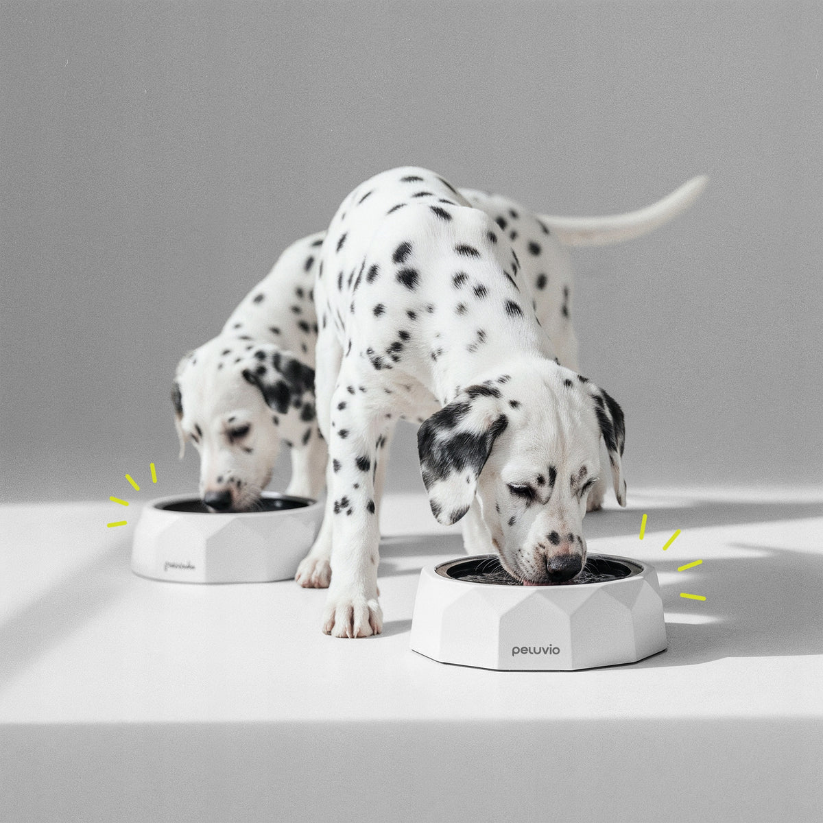Dog Water Bowl NON-SLIP Peluvio Surfa Manufacturer code PE-SURFA WHITE