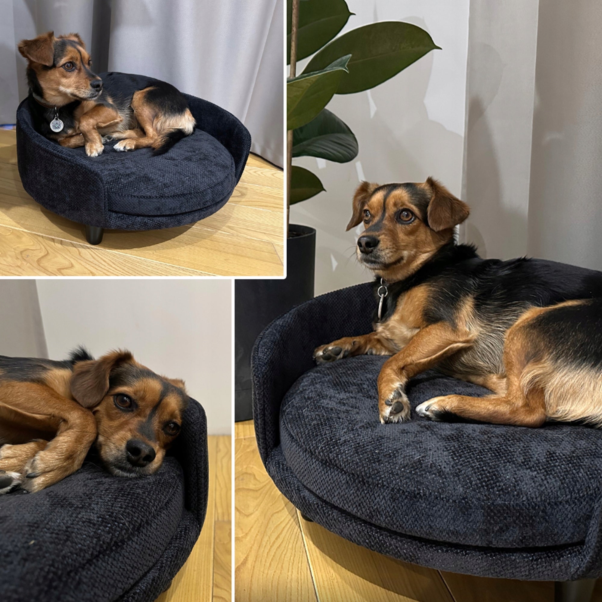 Dog and cat bed sofa couch orthopedic bed+FREEBIE PILLOW Manufacturer code Legowisko dla psa kota sofa leżanka posłanie
