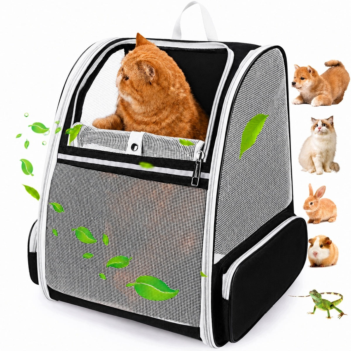 Dog backpack cat transporter up to 9kg 42x38x32 Main material other