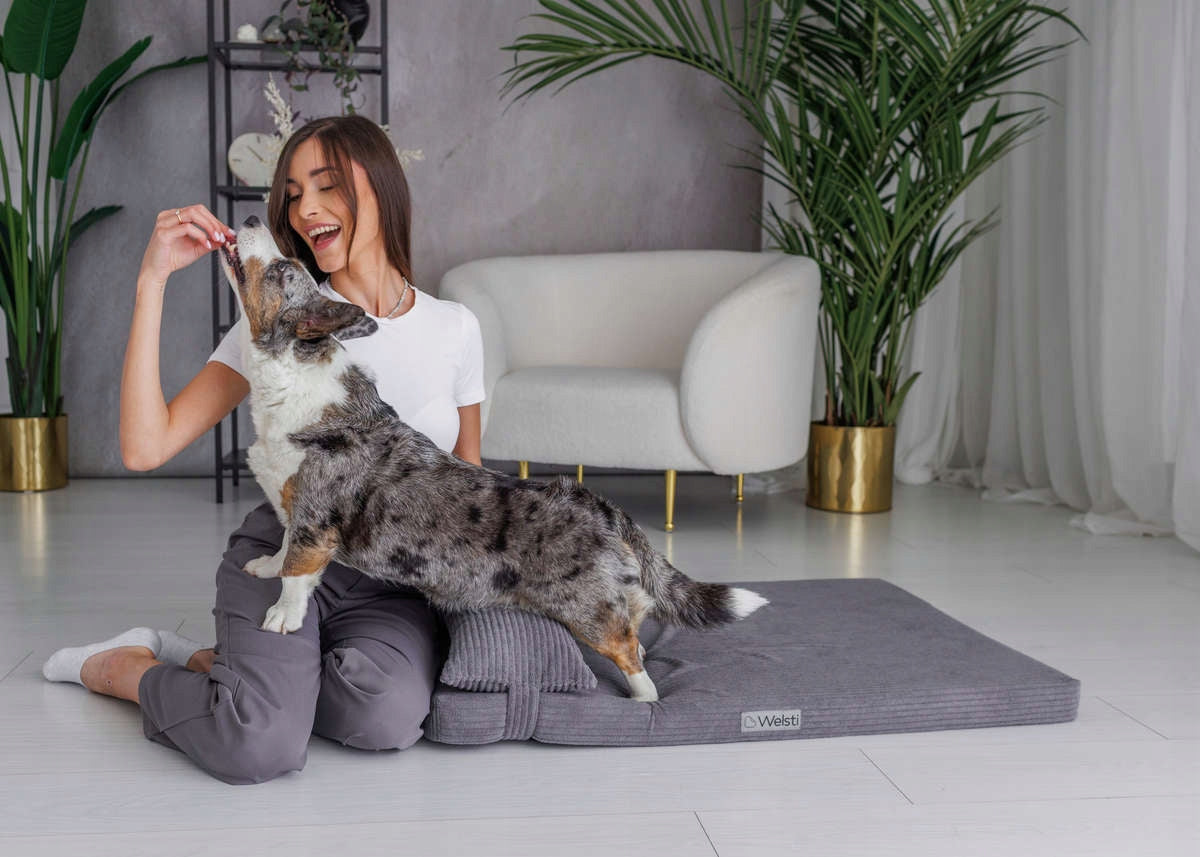 Dog bed mattress bed Welsti 100x70 corduroy bedding pillow Manufacturer code 754-uniw