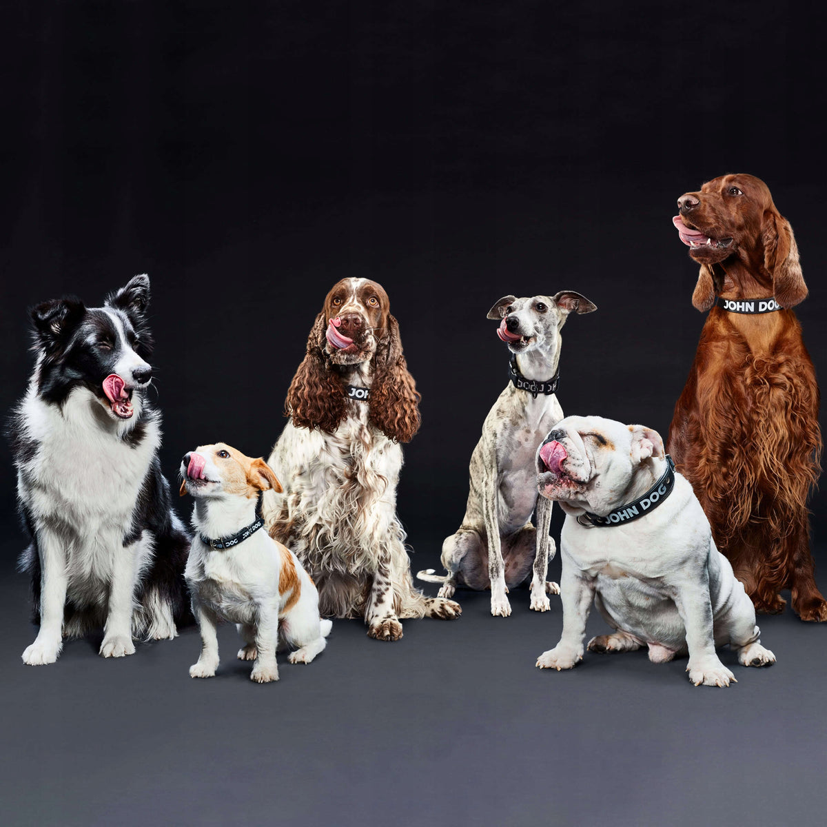Dog carrier bag up to 7kg John Dog Manufacturer code 5903246847147