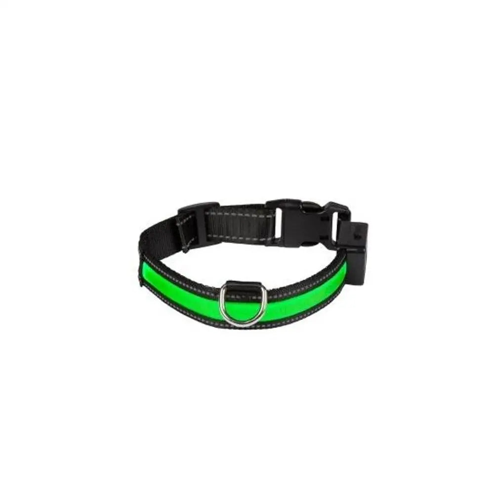 Dog collar led Eyenimal r. M green