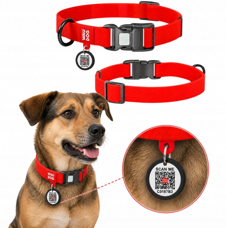 Dog collar waterproof adjustable fastex red lightweight durable S