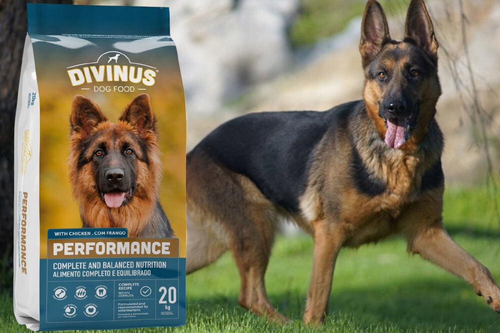 Dog food DIVINUS Performance Chicken 20 kg Brand Divinus