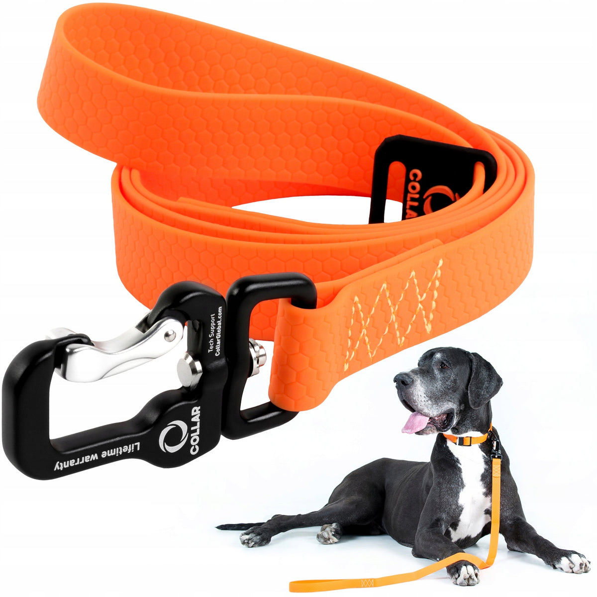 Dog leash Collar EVOLUTOR waterproof 300 cm 25 mm orange
