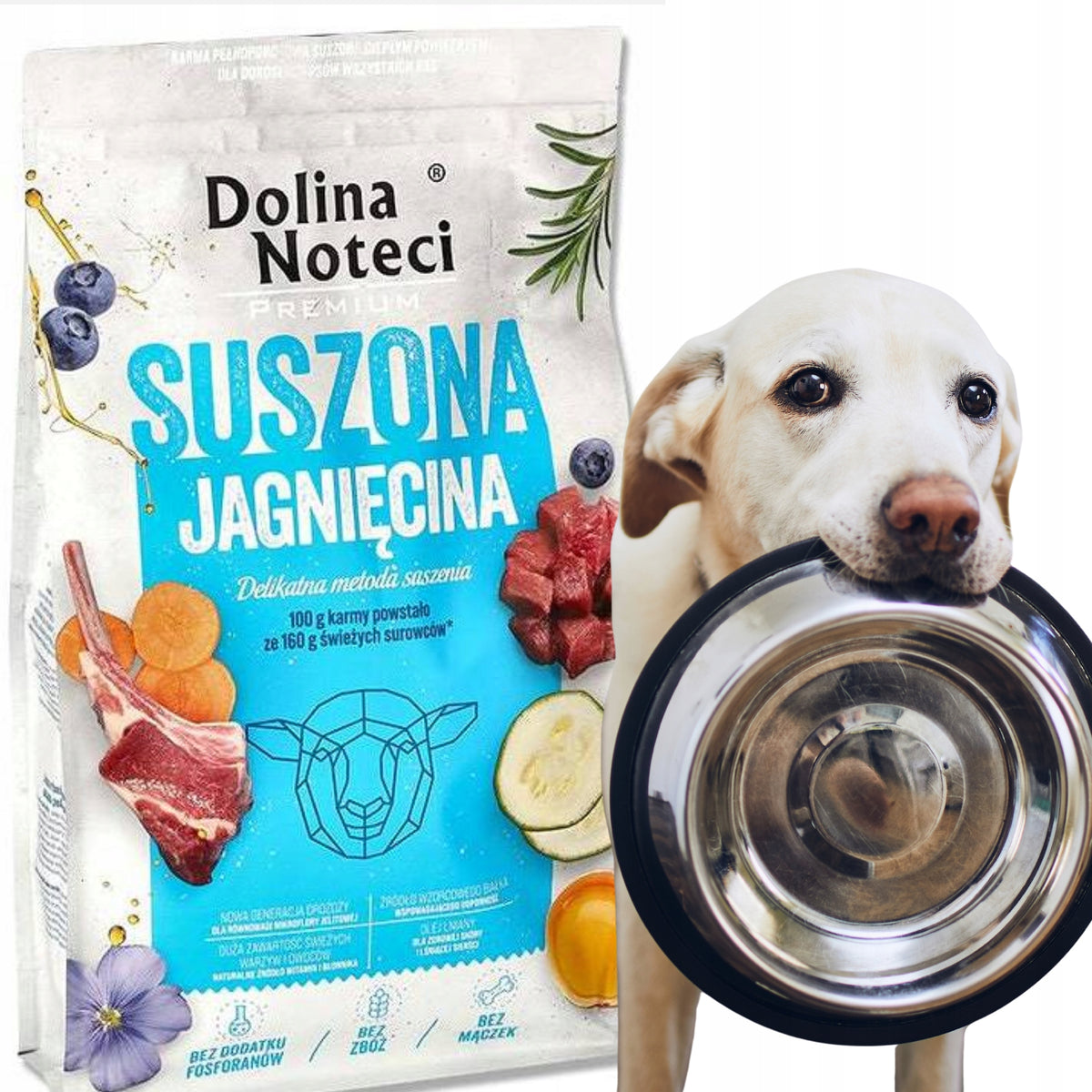 Dolina Noteci Premium Adult Lamb Dried Dog Food Op. 9kg Brand Dolina Noteci