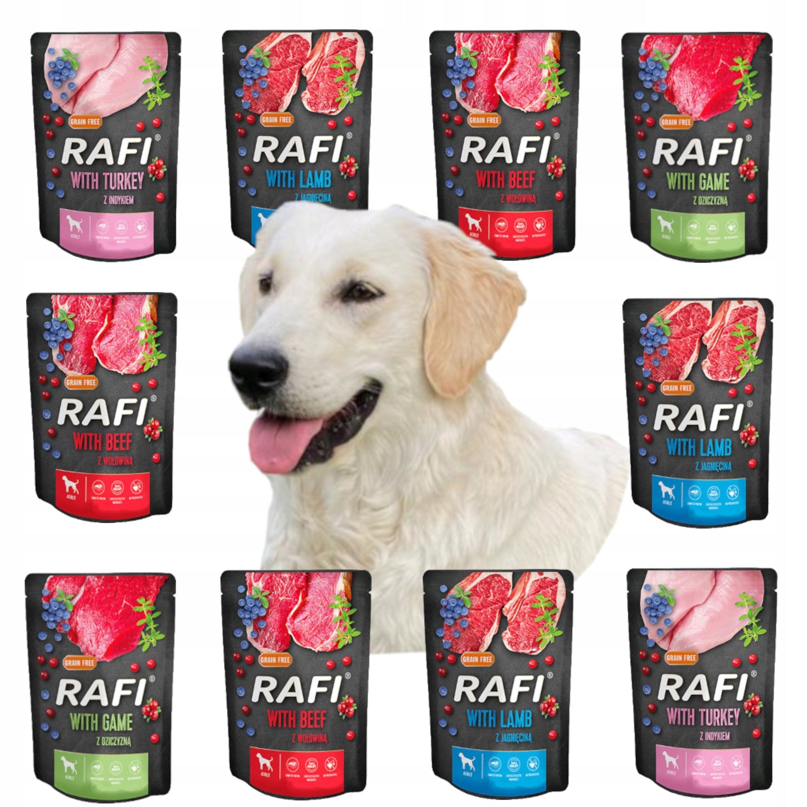 Dolina Noteci RAFI Wet food for PSA sachets mix of flavors 20x300 g Trade name other