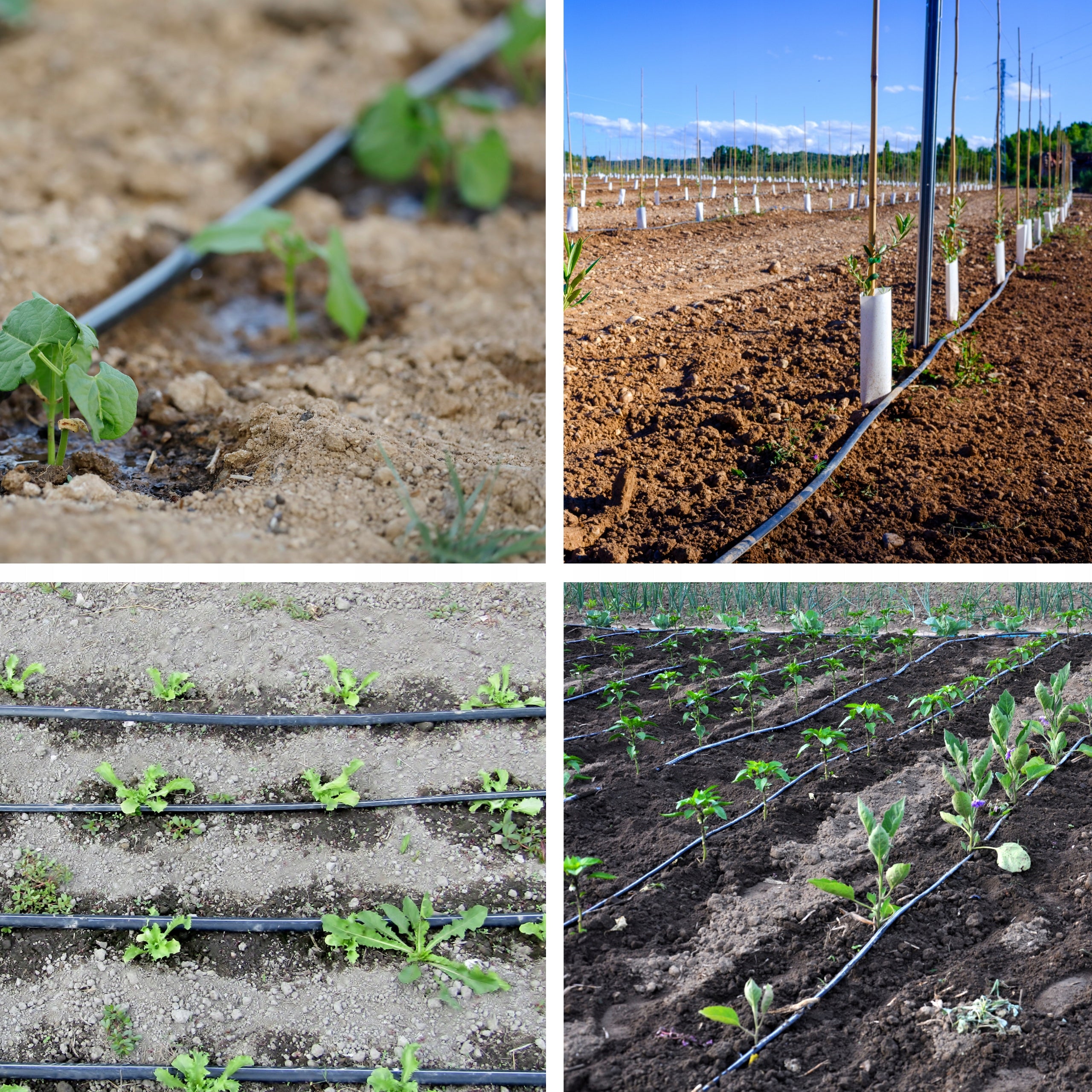 Drip Line Garden Hose Irrigation Drip Garden Pipe 50m Manufacturer code System Nawadniania Kropelkującego 50m
