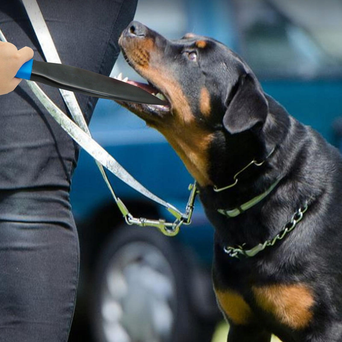 Durable Dog No Bite Sticks Protect Food Aggressions Crowbar Break Stick Manufacturer code 02664040991
