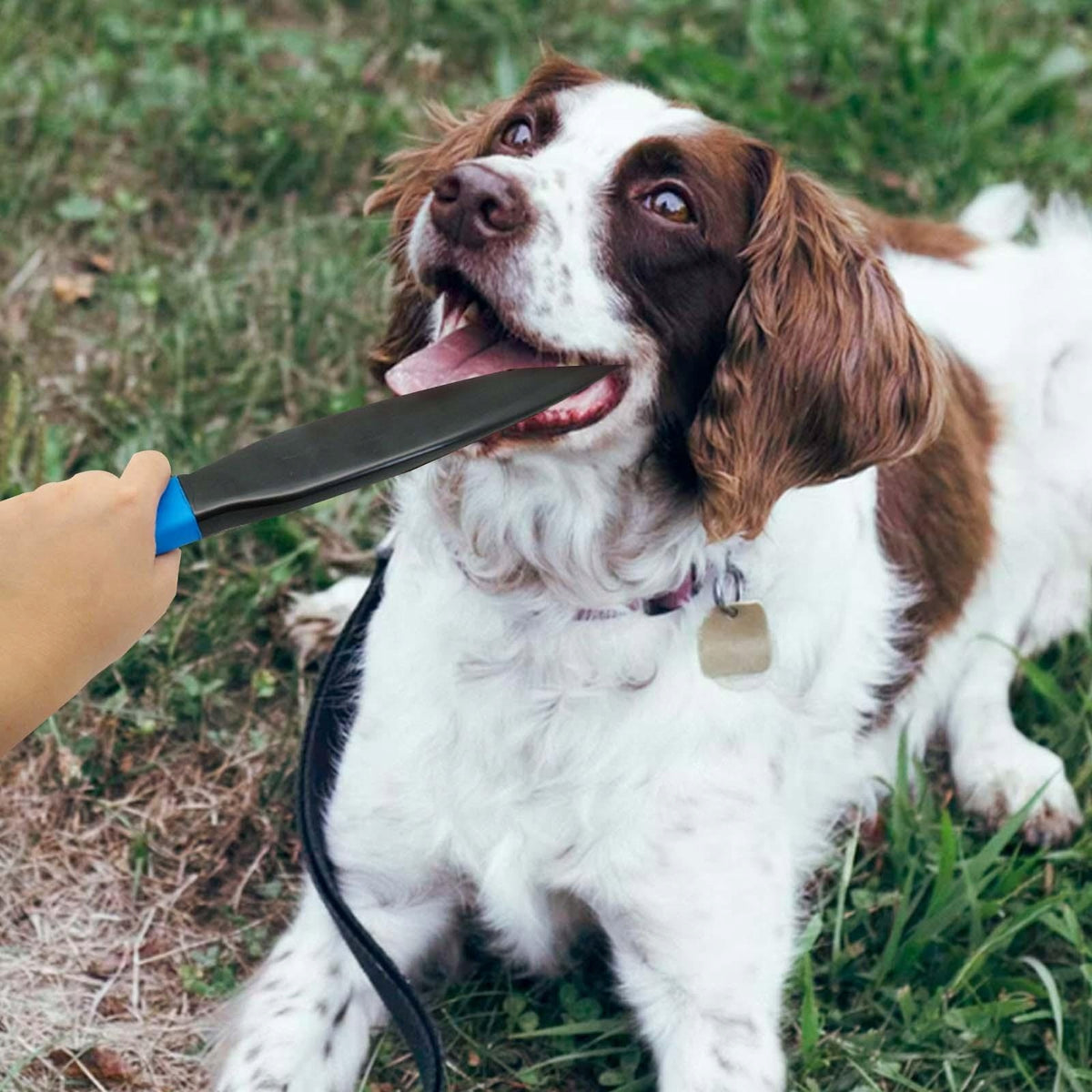 Durable Dog No Bite Sticks Protect Food Aggressions Crowbar Break Stick Packaging status original