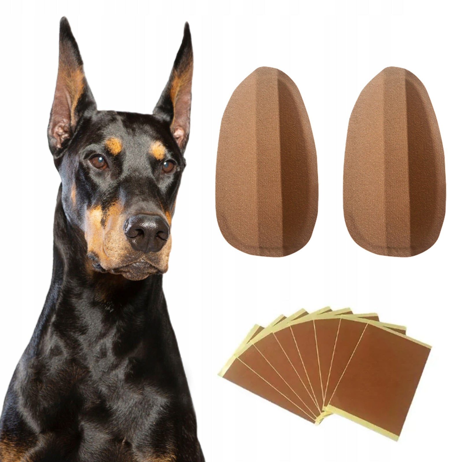 EAR MOLDING INSERTS FOR DOG EAR DENTURES 10*5cm