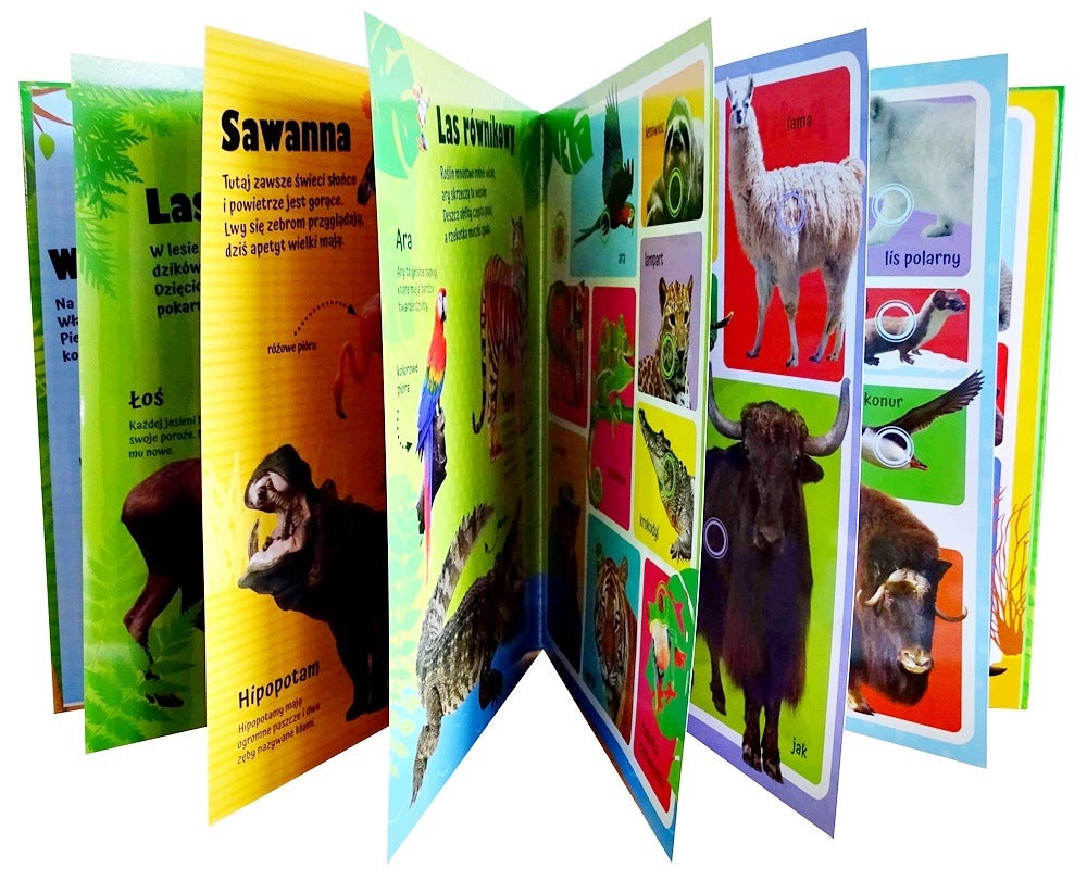 EDUCATIONAL BOOK ANIMAL SOUNDS 60 SOUNDS Brand no brand