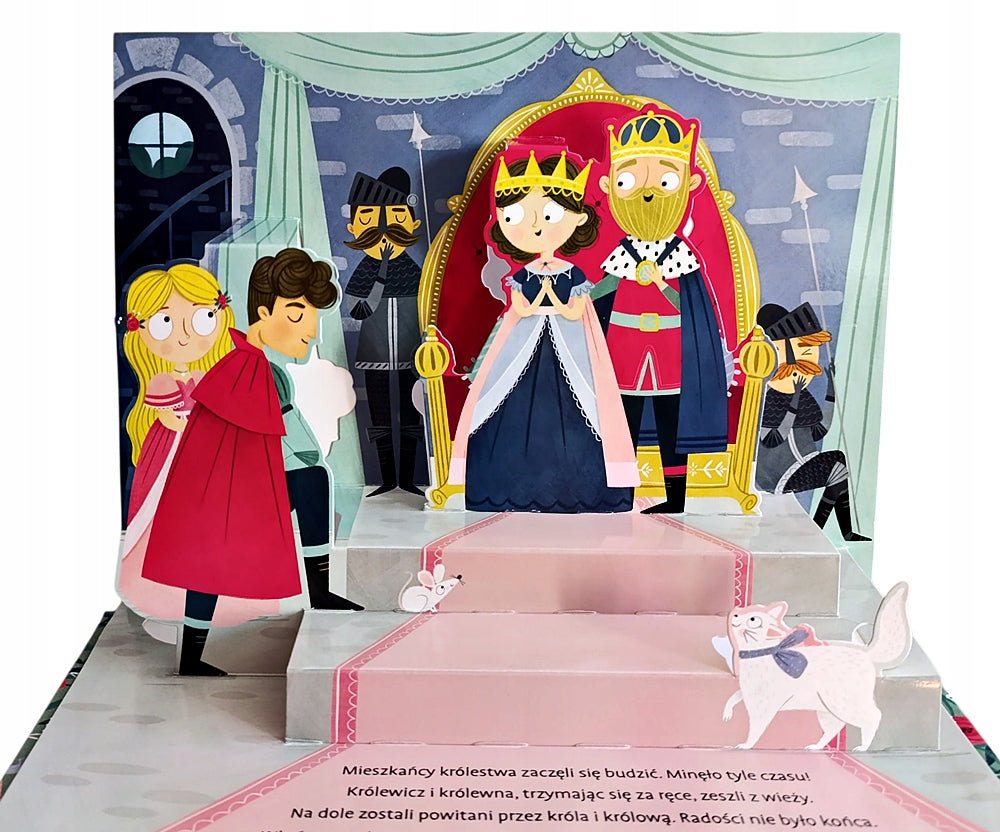 EDUCATIONAL BOOK SPATIAL SOUND FAIRY TALE TO LISTEN TO SLEEPING PRINCESS Brand no brand