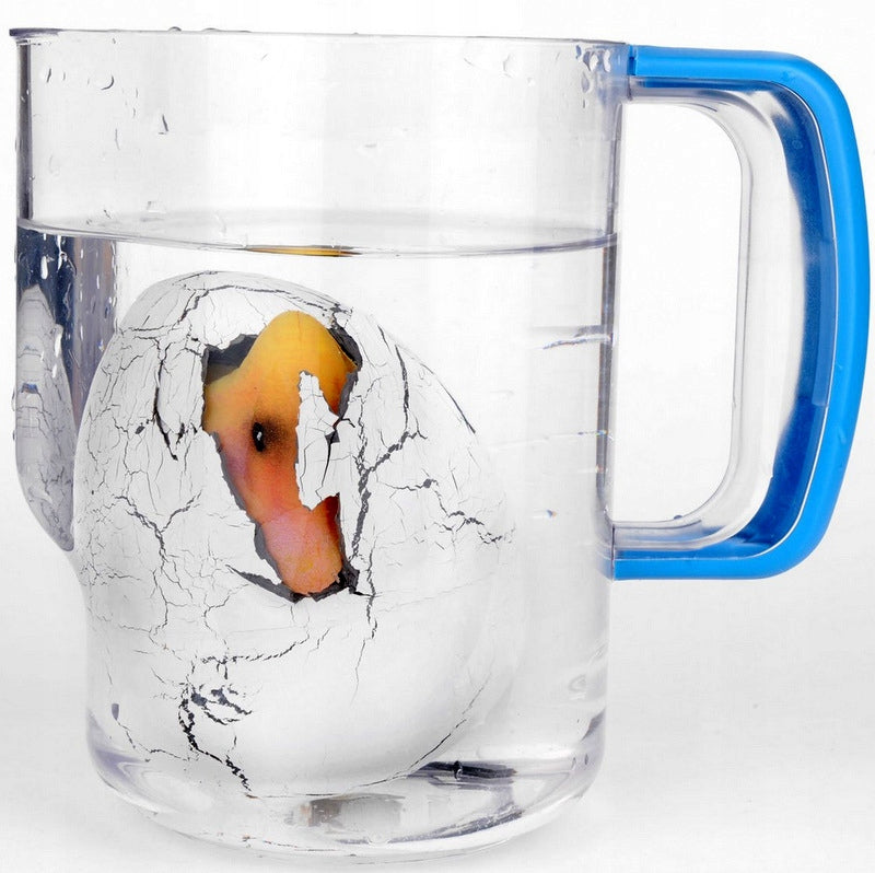 EGG DINOSAUR EGG HATCHING DINOSAUR GROWING IN WATER LARGE XXL 3+ Manufacturer code QL93123