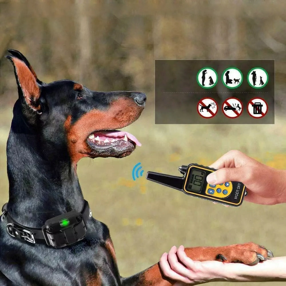 ELECTRIC DOG TRAINING COLLAR TRAINING MULTIMODE WALK WITH DOG Packaging status original