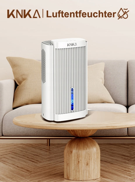 ELECTRIC Dehumidifier KNKA CS06 80W moisture absorber quiet Manufacturer code CS06