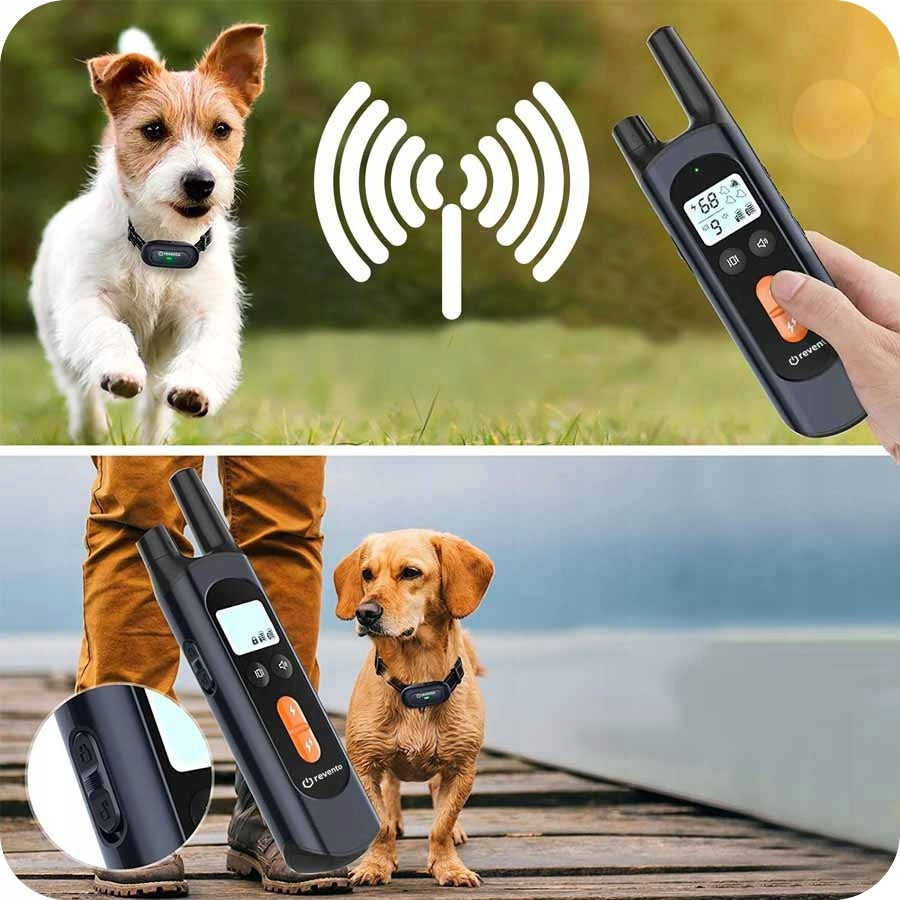 ELECTRIC TRAINING DOG COLLAR FOR TRAINING EFFECTIVE + REMOTE CONTROL Manufacturer code Odbiornik R-100