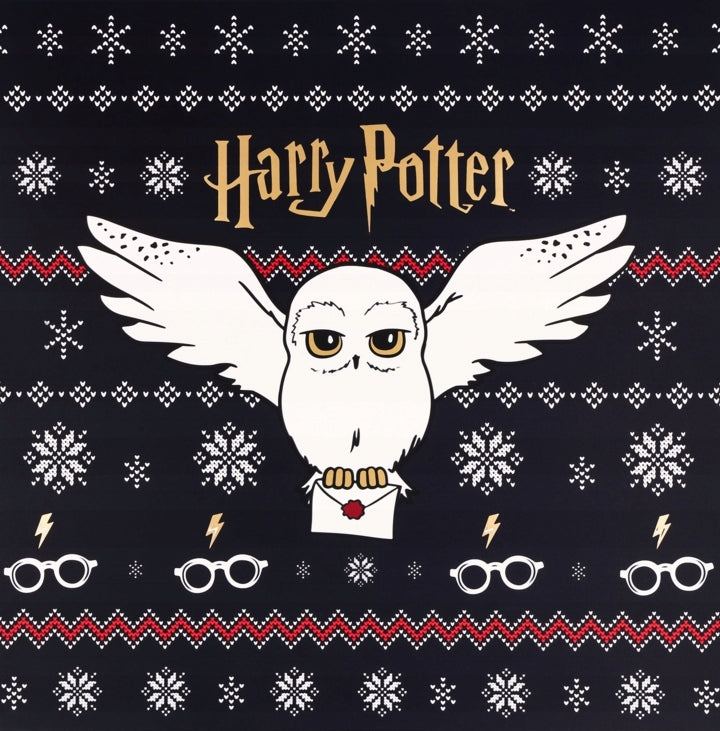 ELOY HARRY POTTER ADVENT CALENDAR JEWELRY 24PCS LIMITED SET Packaging status original