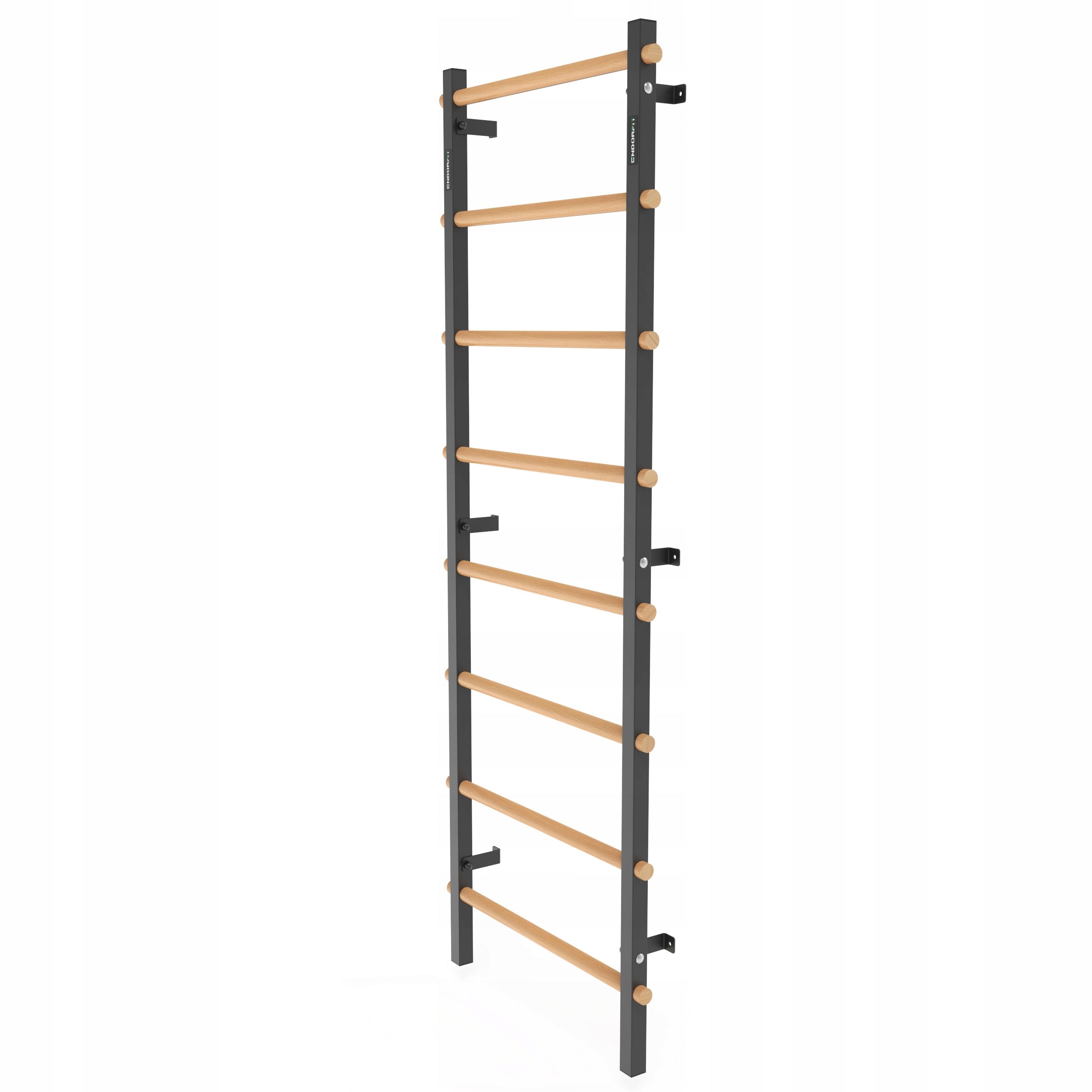 ENDORFIT | Rehabilitation gymnastic ladder wood-metal 210x75cm EAN (GTIN) 5903068105876