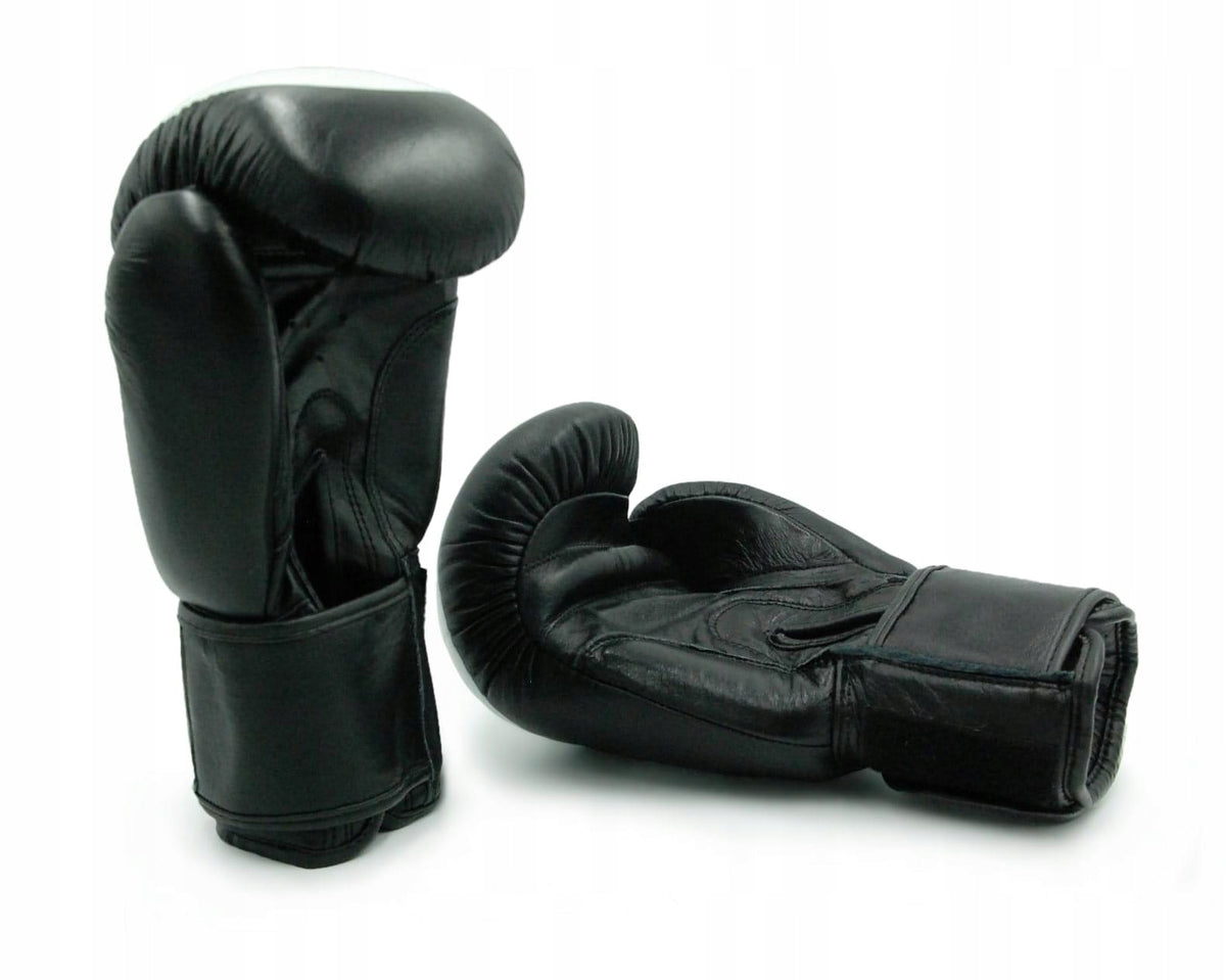 EVOLUTION PRO 14 OZ BOXING GLOVES Brand Evolution