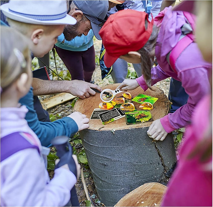 EXCAVATIONS FOR CHILDREN AMBER MINE INSECTS IN AMBER ARCHAEOLOGIST Manufacturer code 4502