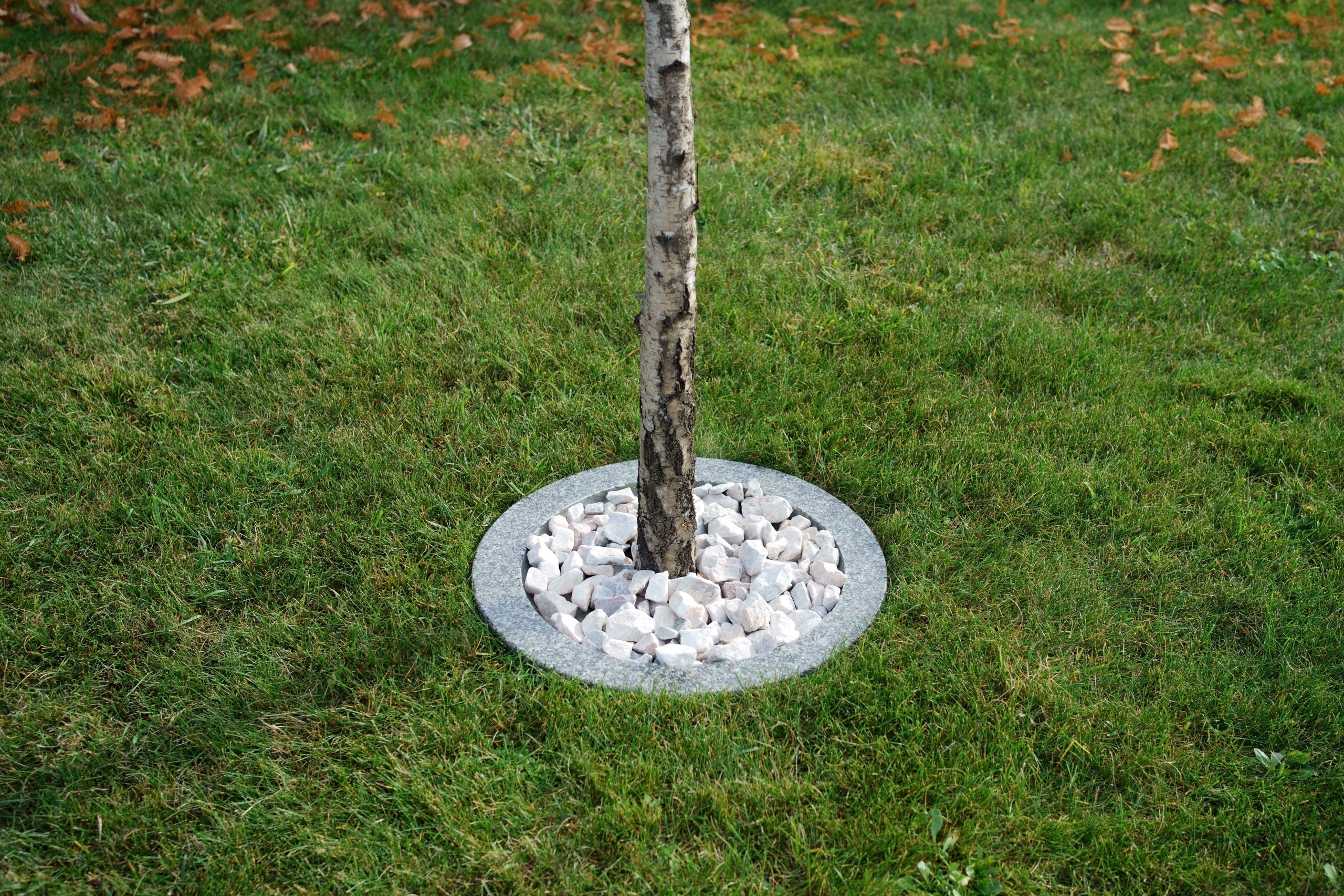 Edges for trees and shrubs innoVal, grey granite with a diameter of 50cm. Manufacturer code Oz04