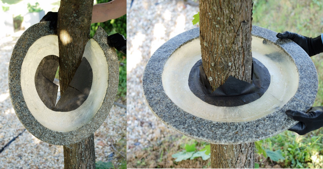 Edges for trees and shrubs innoVal, grey granite with a diameter of 50cm. Product height 5 cm