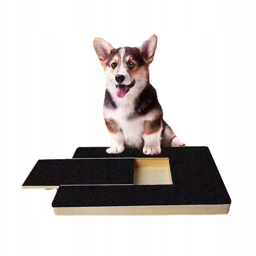 Educational Toy for Dog Nail Storage for Treats Ma