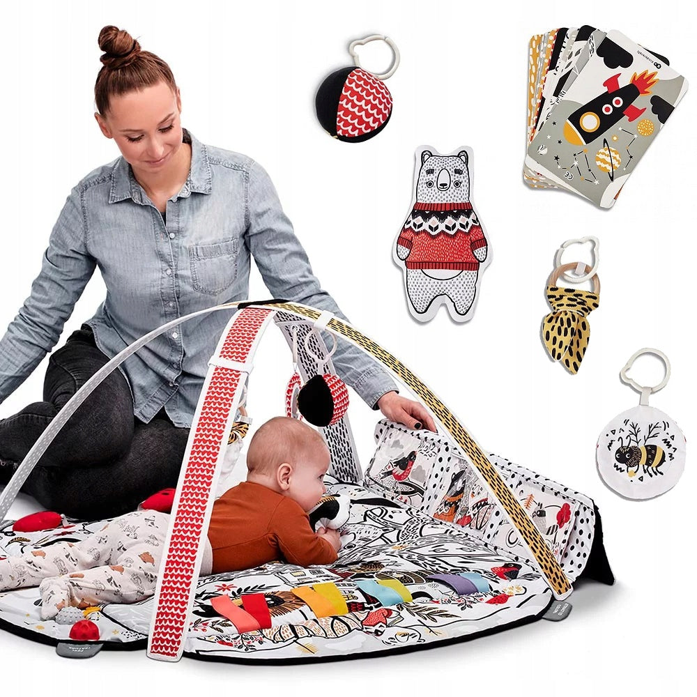 Educational contrast mat EDUMEE Kinderkraft