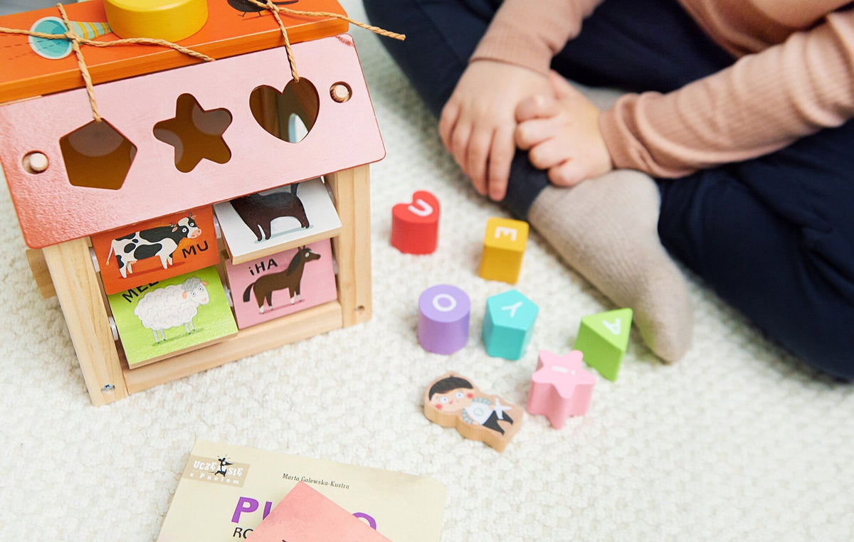Educational toy NASZA KSIĘGARNIA Pucio Speech therapy Sorter Material fabric