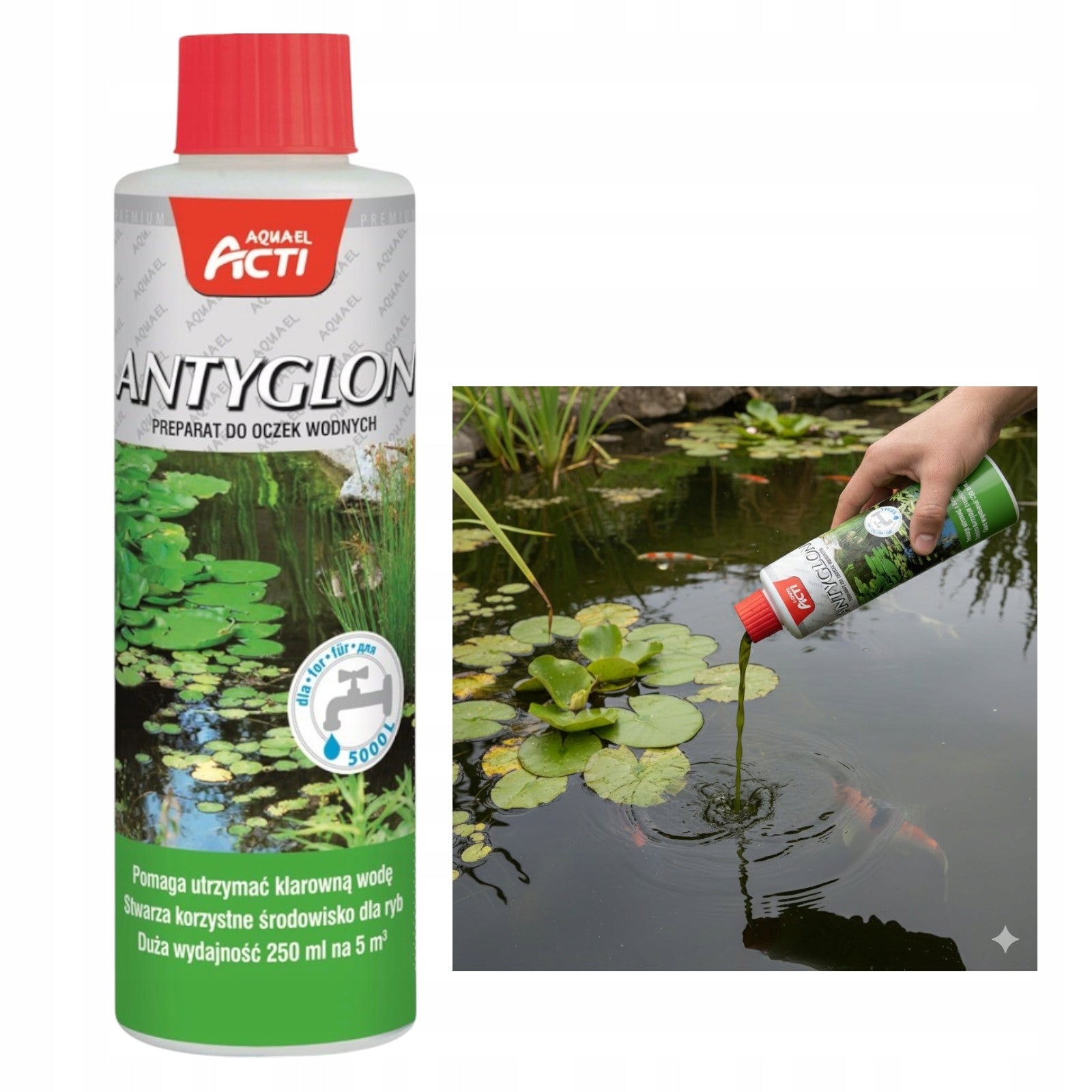 Effective and safe means of controlling algae in ponds
