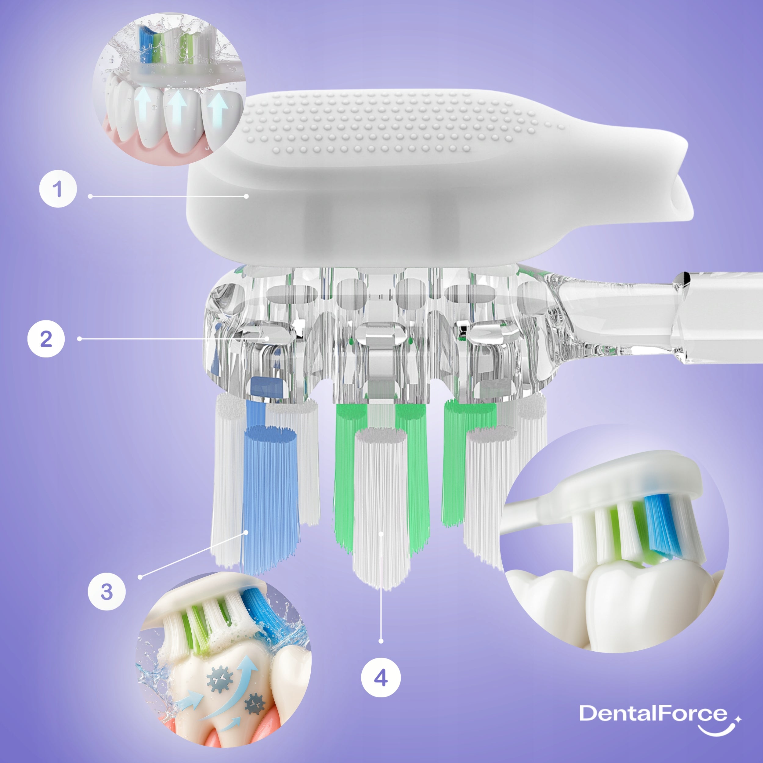 Electric Sonic Toothbrush DentalForce UV Holder Case 120days Manufacturer code DFTB8050P