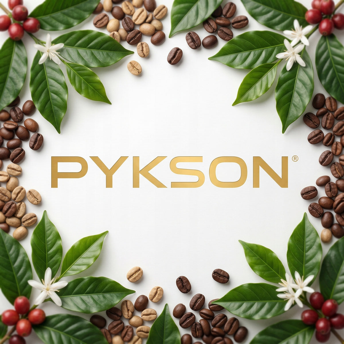 Electric grill TOASTER PYKSON | STRONG - 2000 W + Built-in PROBE Packaging status original