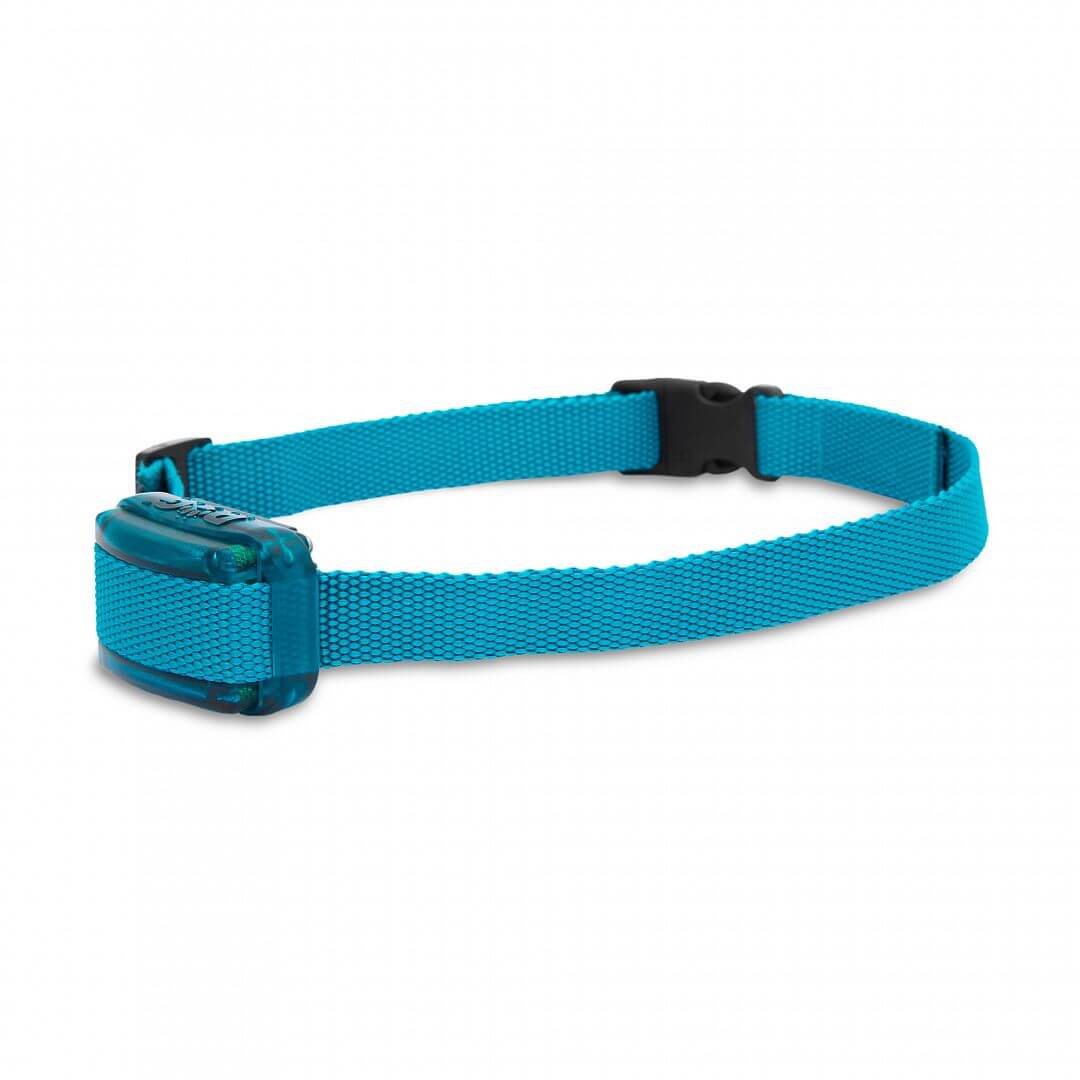 Electronic training collar for dogs d-control 400 mini Brand Dogtrace