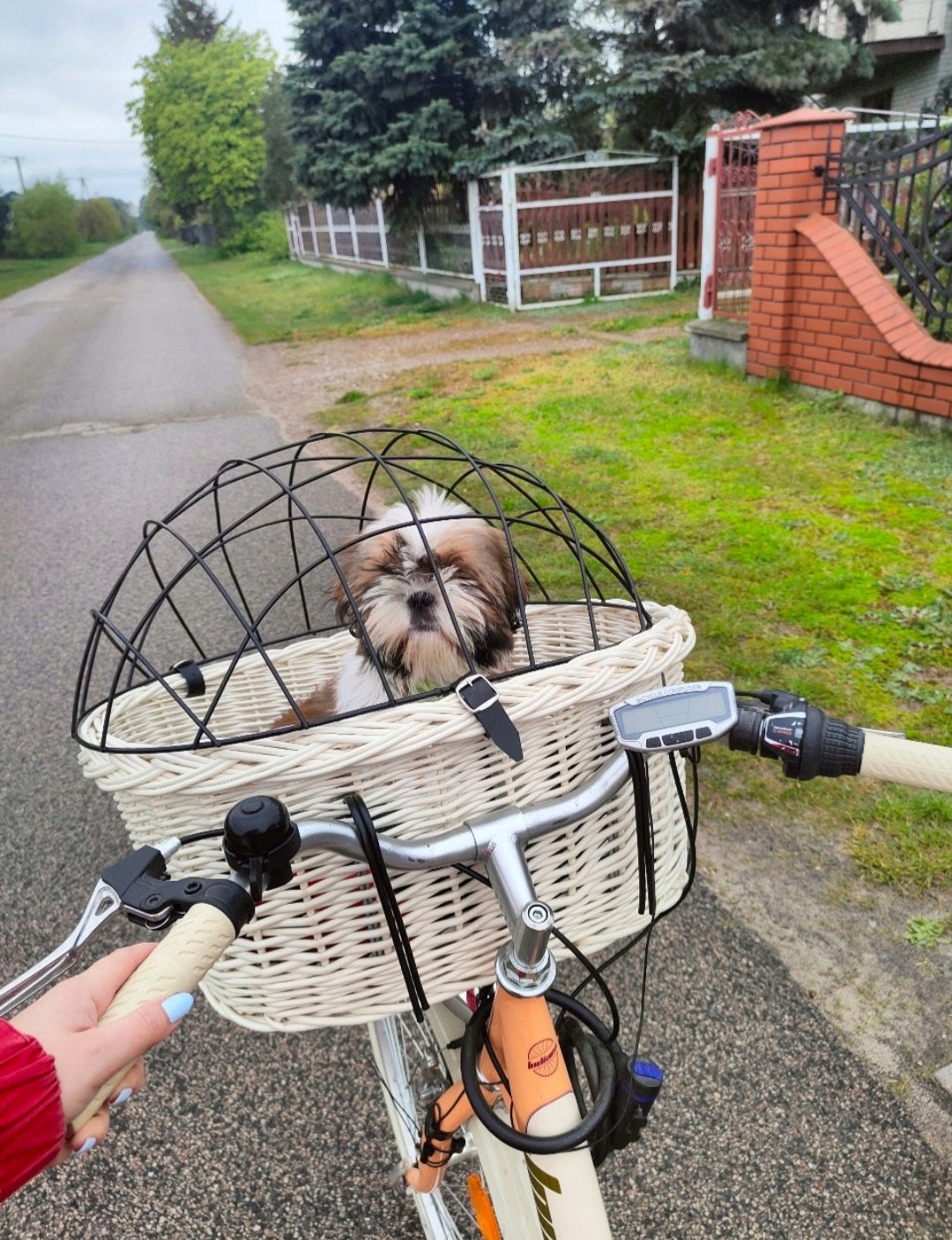 Extra Large Wicker Basket in ECRU Color Bike Basket for PSA up to 15kg Brand Wiklinowe-kosze
