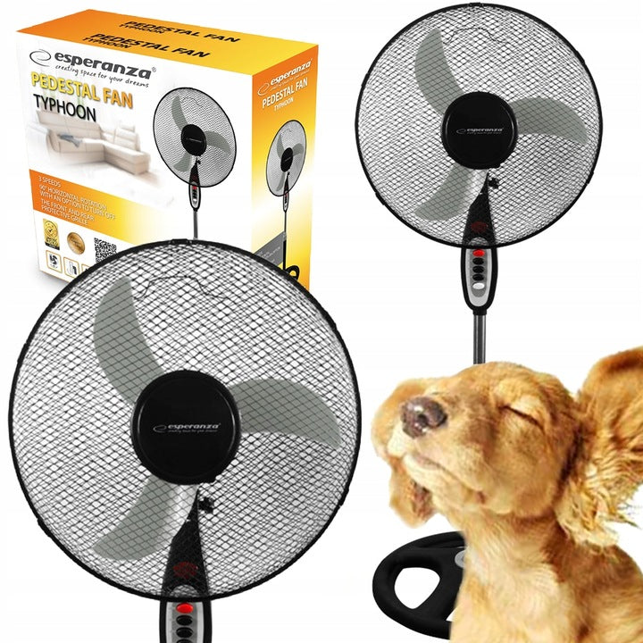FLOOR FAN STANDING FAN DIAMETER 45CM STRONG 50W STABLE FOOT