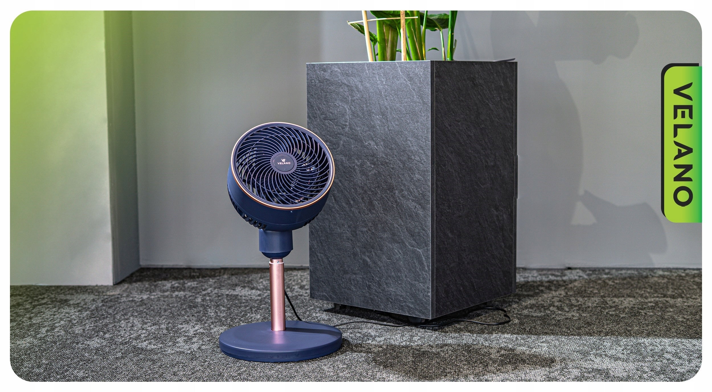 FLOOR FAN STANDING TIMER HEIGHT ADJUSTMENT REMOTE CONTROL 50W Control electronic